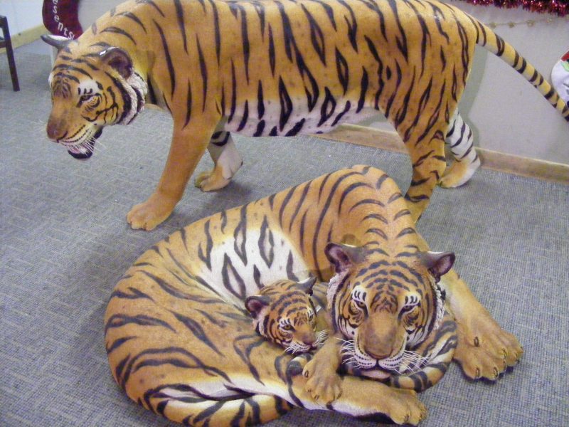 tiger1