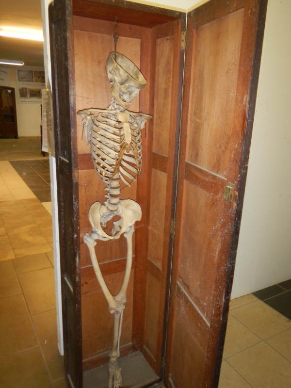 Skeleton in Cupboard fetches £440 2016 Unique Auctions Lincoln Auctioneers