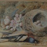 William Henry Hunt Bird And Nest Painting