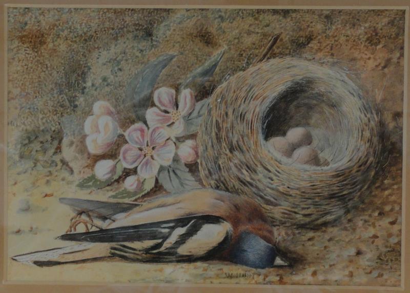 William Henry Hunt Bird And Nest Painting