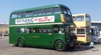 buses on display