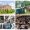 Does Complete mean Complete? Yes we clear all types of property from flats to manor houses, bungalows & houses to businesses and from sheds to farms.