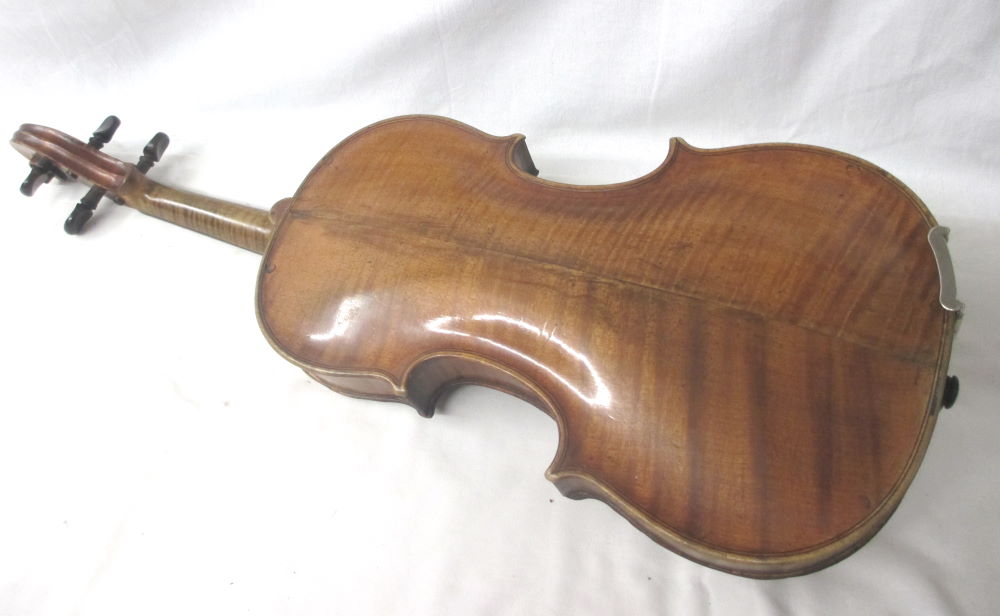 violin back view