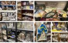 Wednesday 15th February 2023 Antiques, Collectables & General Evening Auction – Starting 6pm