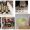 Wednesday 23rd August 2023 Antiques, Collectables & General Auction – Starting 12pm